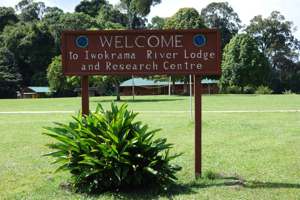 Iwokrama Research Station, Guyana -- Karina Noriega