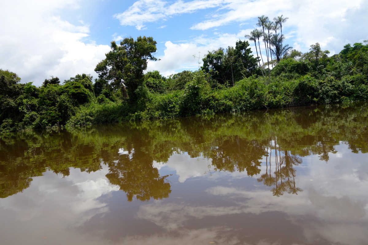 Essequibo River, Guyana -- Karina Noriega