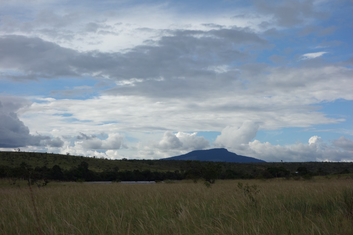 Brazil/Guyana Border -- Karina Noriega