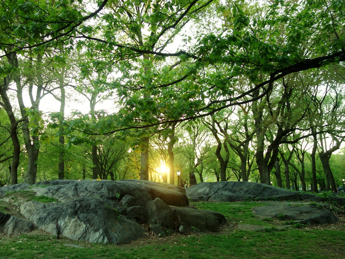 Central Park Sunsets, Manhattan, NY, USA - Karina Noriega