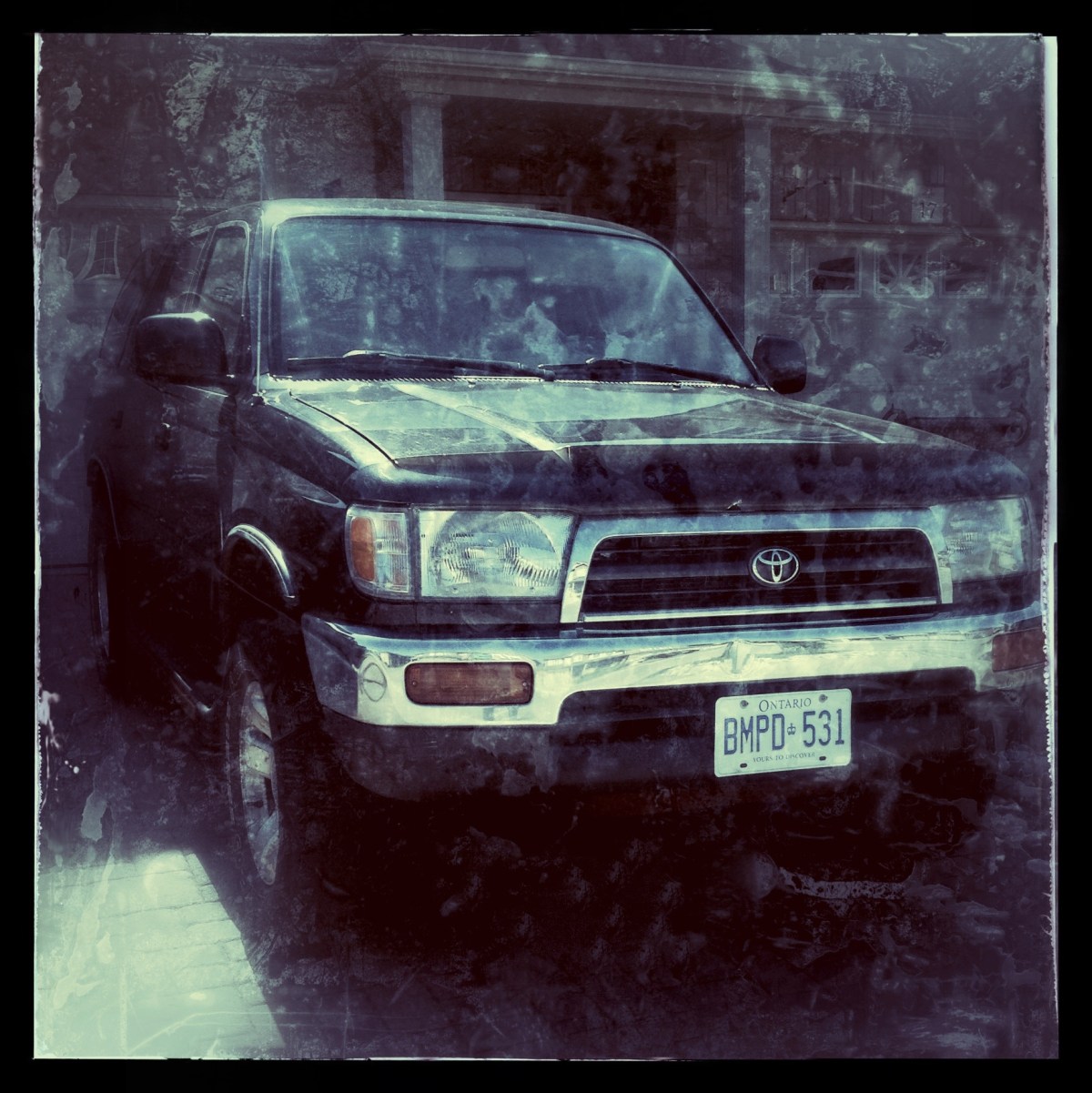 Tank- Karina Noriega