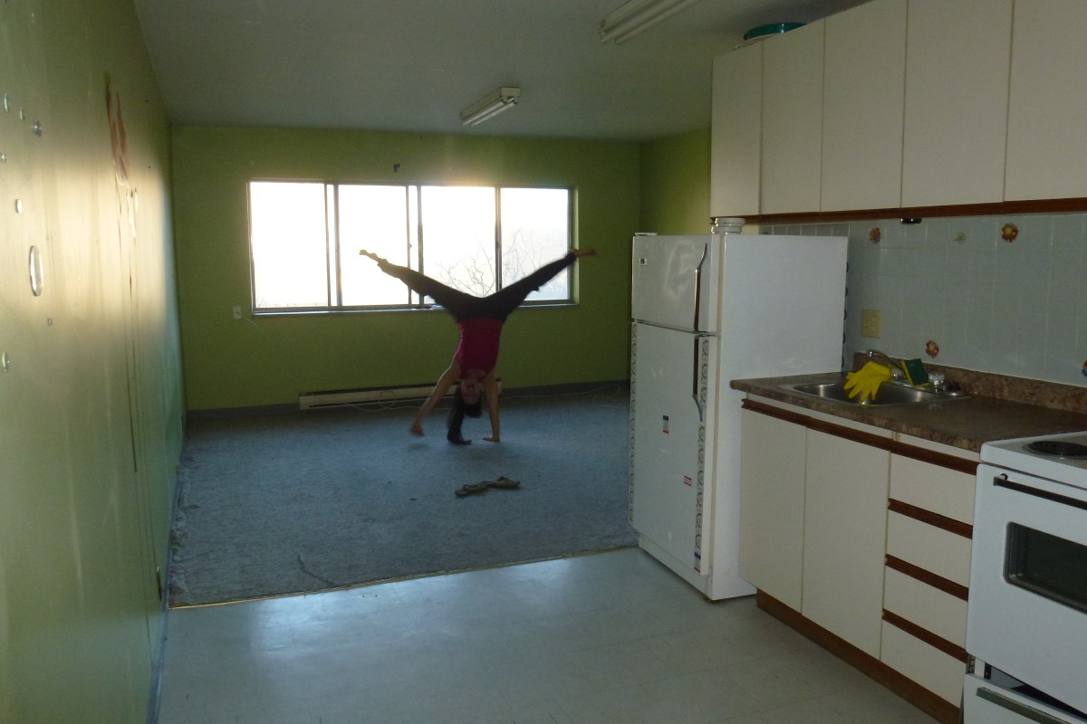 Cartwheels In an Empty House, Hamilton - Karina Noriega