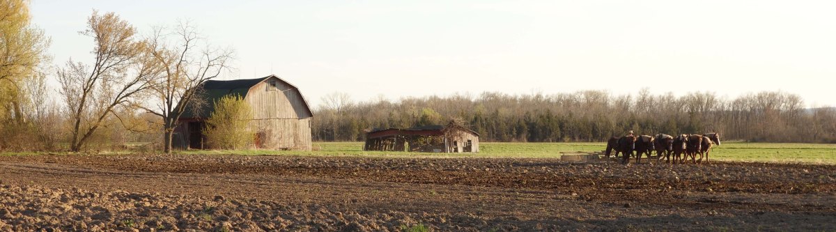 Wide.MennoniteFarm, NY USA - Karina Noriega