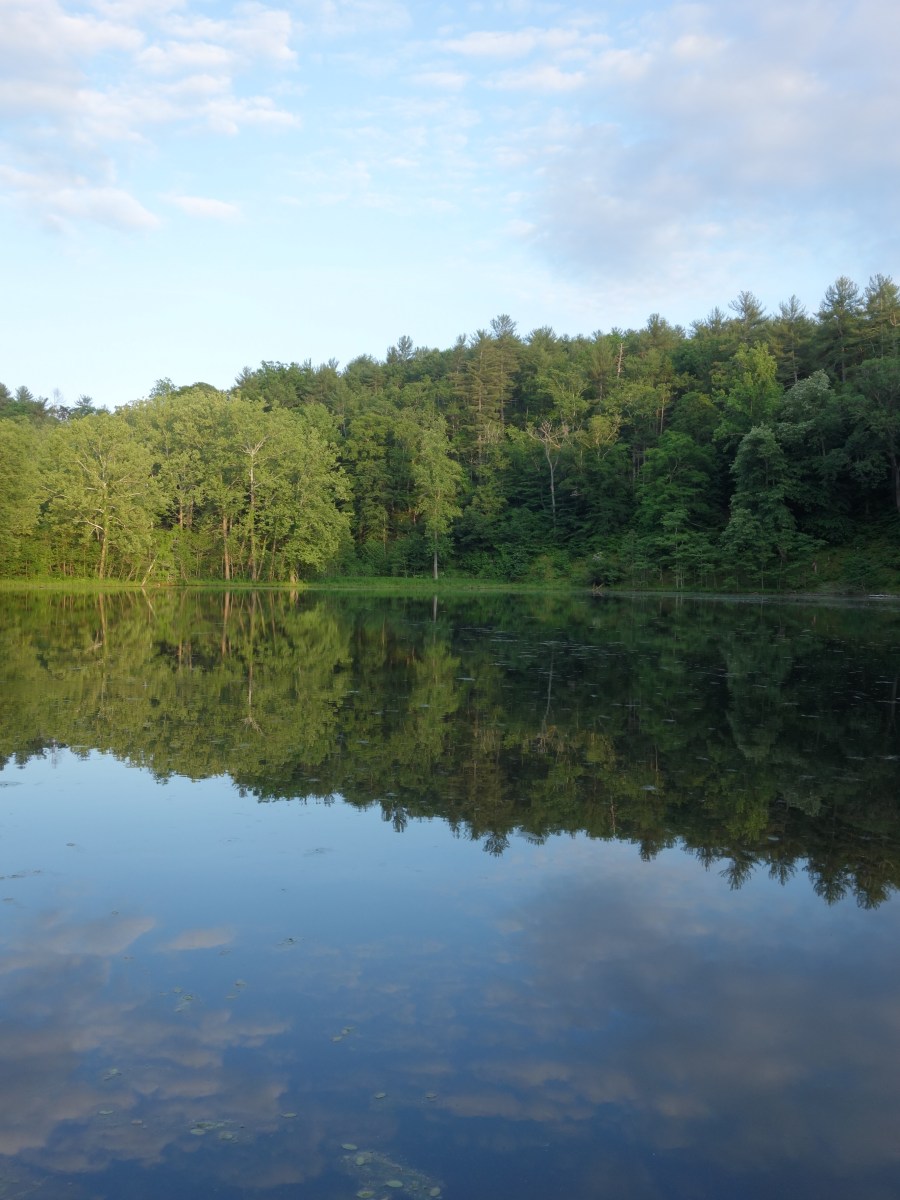 Blue Ridge Parkway, Virginia, USA - Karina Noriega