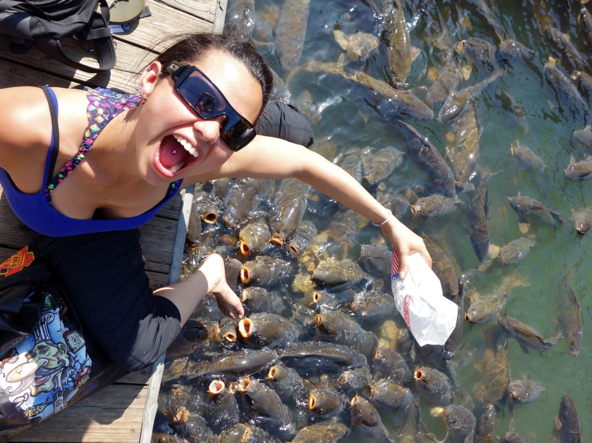 Blue Ridge Parkway, Virginia, USA - Karina Noriega