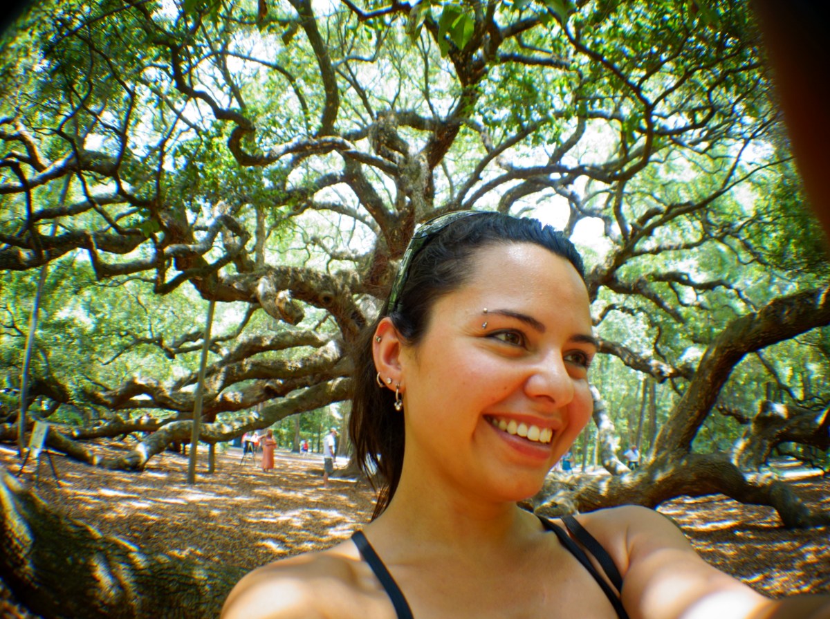 Angel Oak, St. John's, Charleston, South Carolina, USA - Karina Noriega