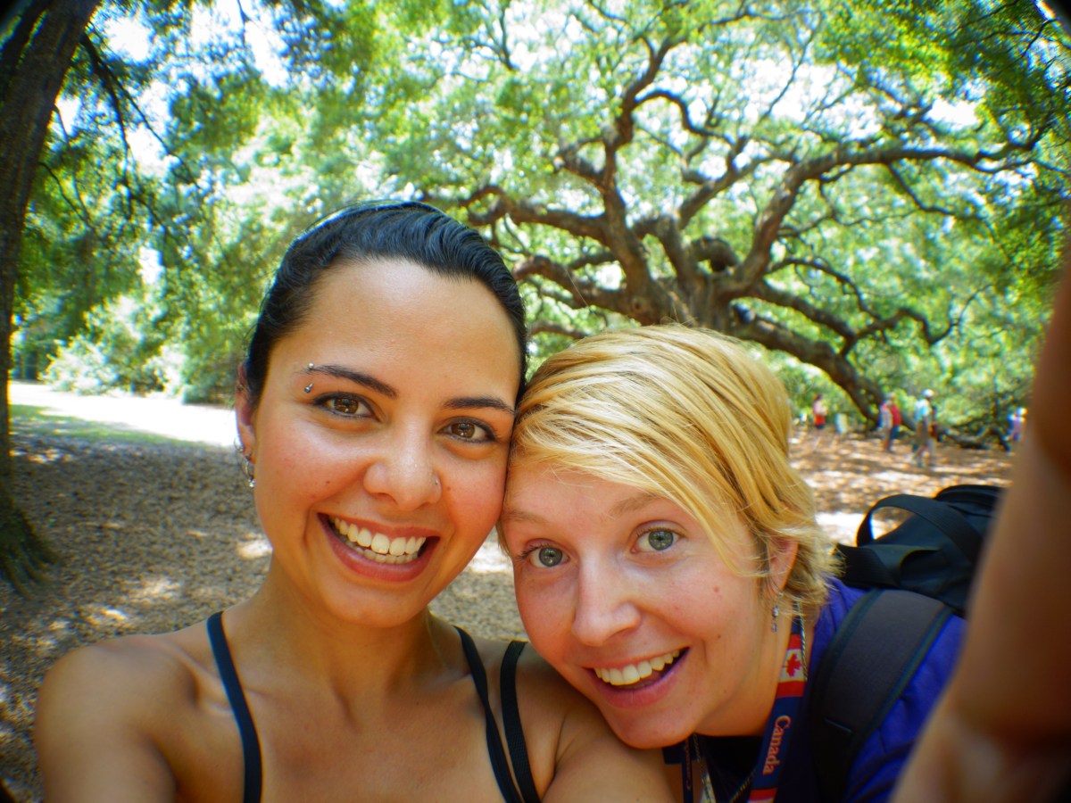 Angel Oak, St. John's, Charleston, South Carolina, USA - Karina Noriega