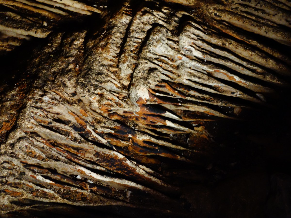 Minerals color a massive fallen column, Blanchard Springs Cavern, Arkansas - Karina Noriega