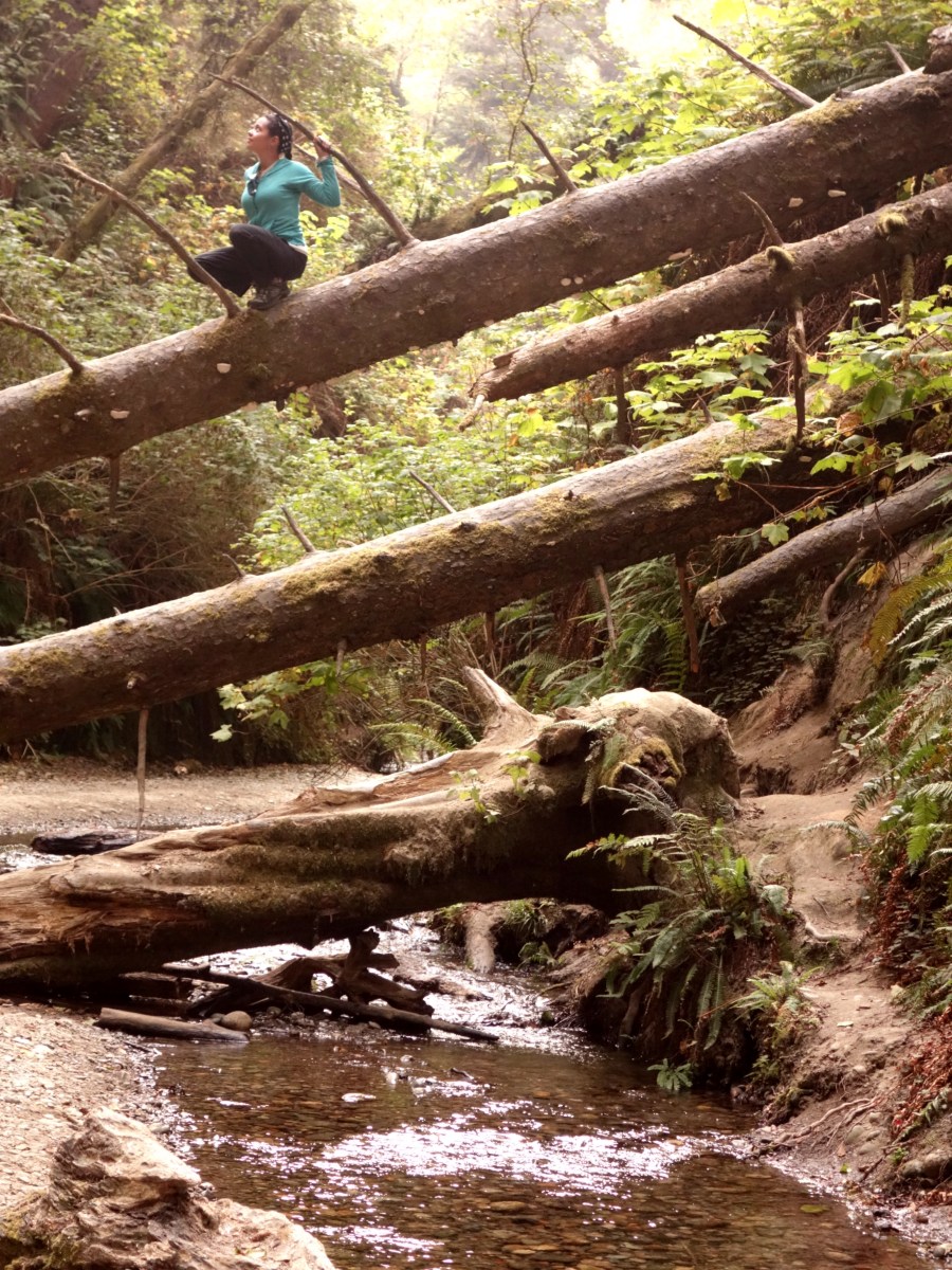Fern Canyon, Redwood State Park, California, USA - Karina Noriega