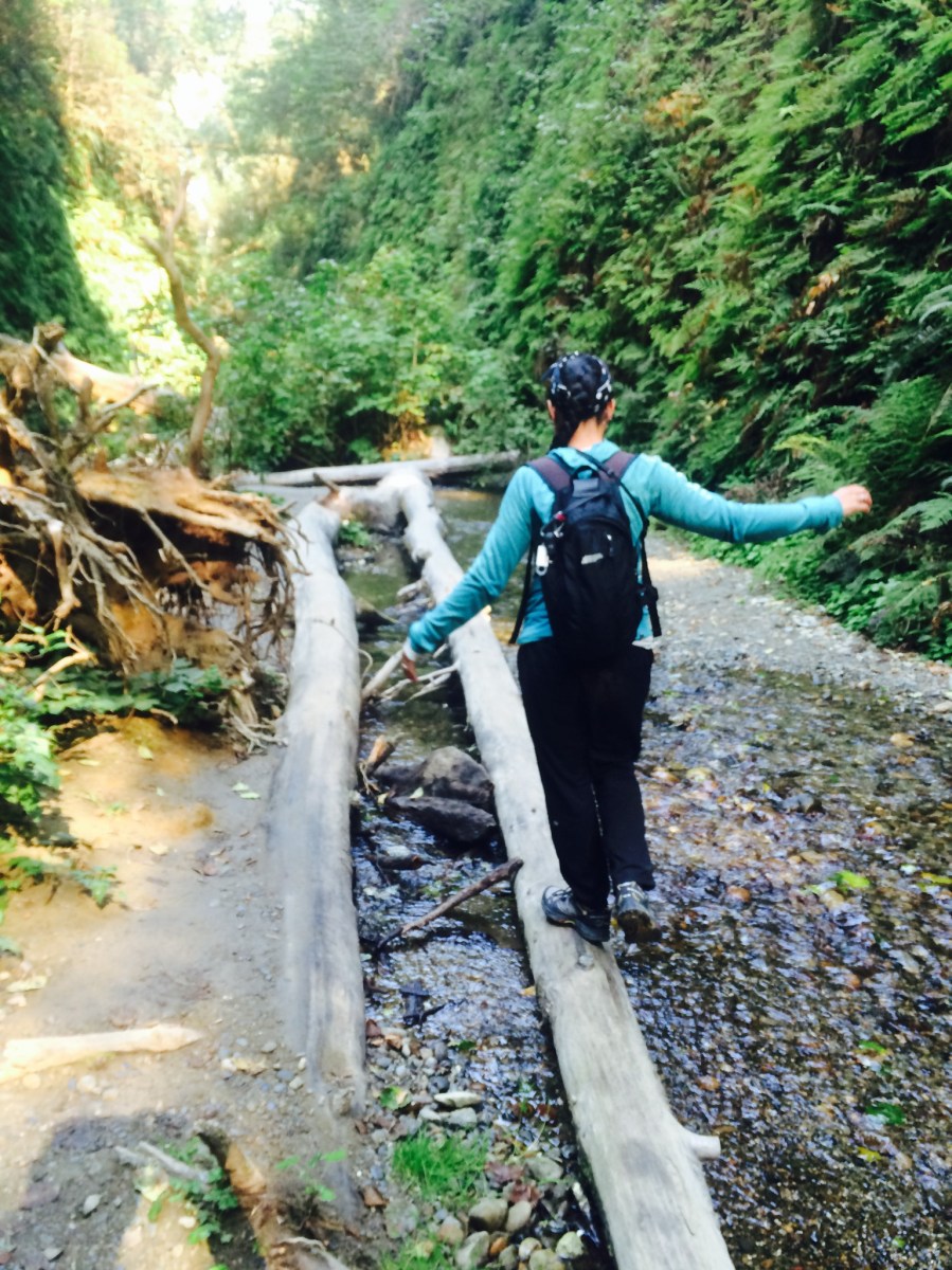 Fern Canyon, Redwood State Park, California, USA - Karina Noriega
