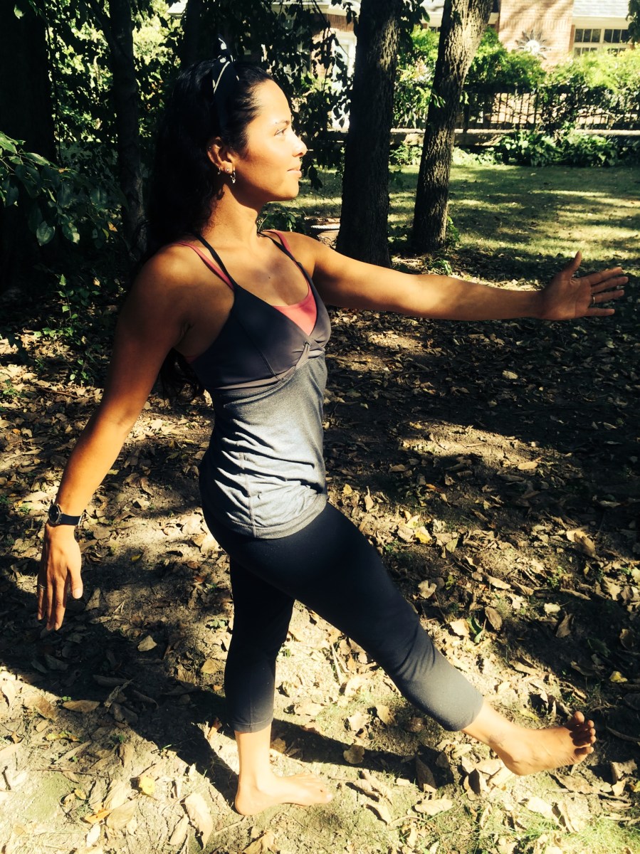 Wildlife crossing signs - Karina Noriega