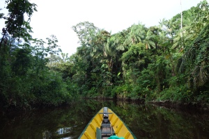 Headed into the wild amazon and a plethora of wild encounters to come - Santigron, Suriname -- Karina Noriega