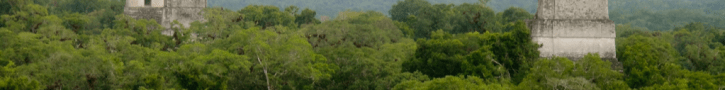 Temples of Tikal Tower above the jungle canopy -- Guatemala -- Karina Noriega