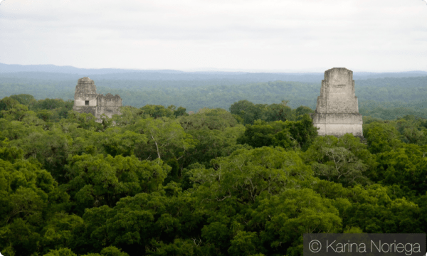 Temples of Tikal Tower above the jungle canopy -- Guatemala -- Karina Noriega