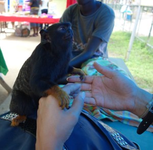 A new friend - Suriname -- Karina Noriega