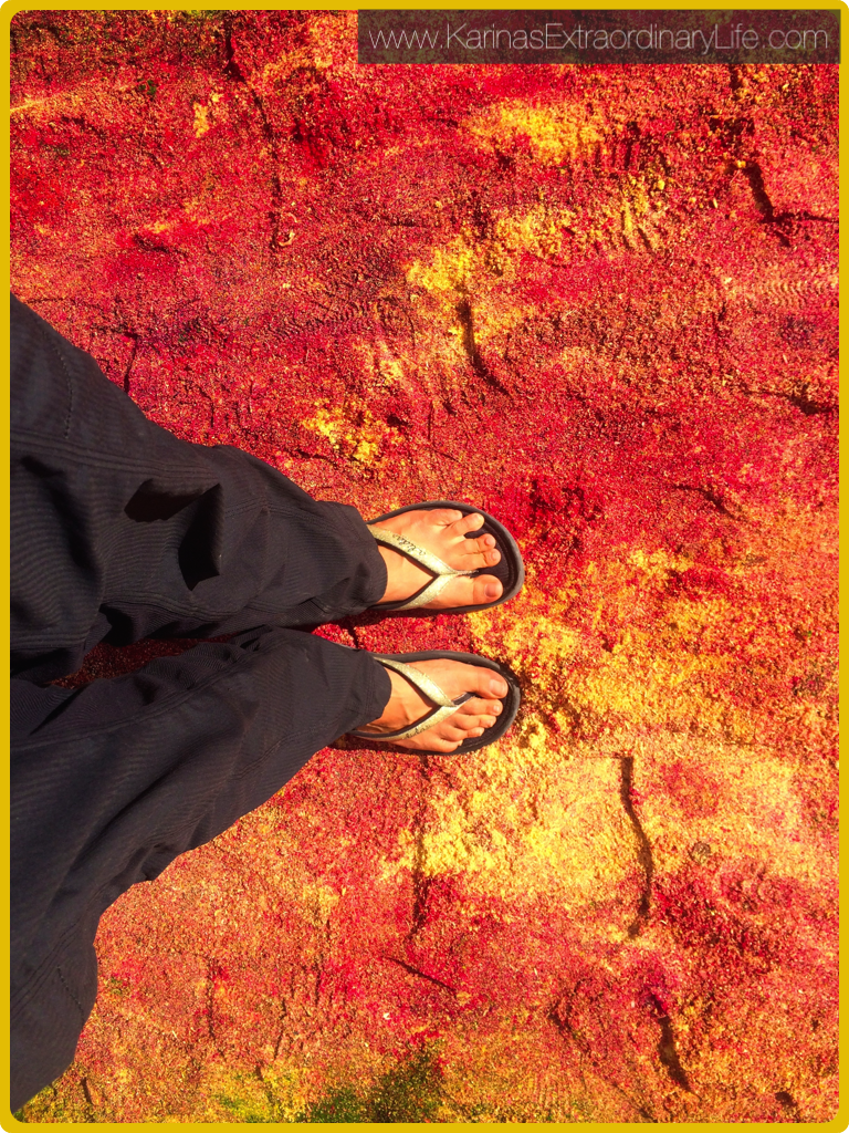After the procession passes, the freshly made alfombras become indistinct ashes of coloured sawdust. Antigua, Guatemala -- Karina Noriega