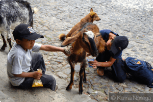 Children get fresh goats milk downtown Antigua, Guatemala -- Karina Noriega
