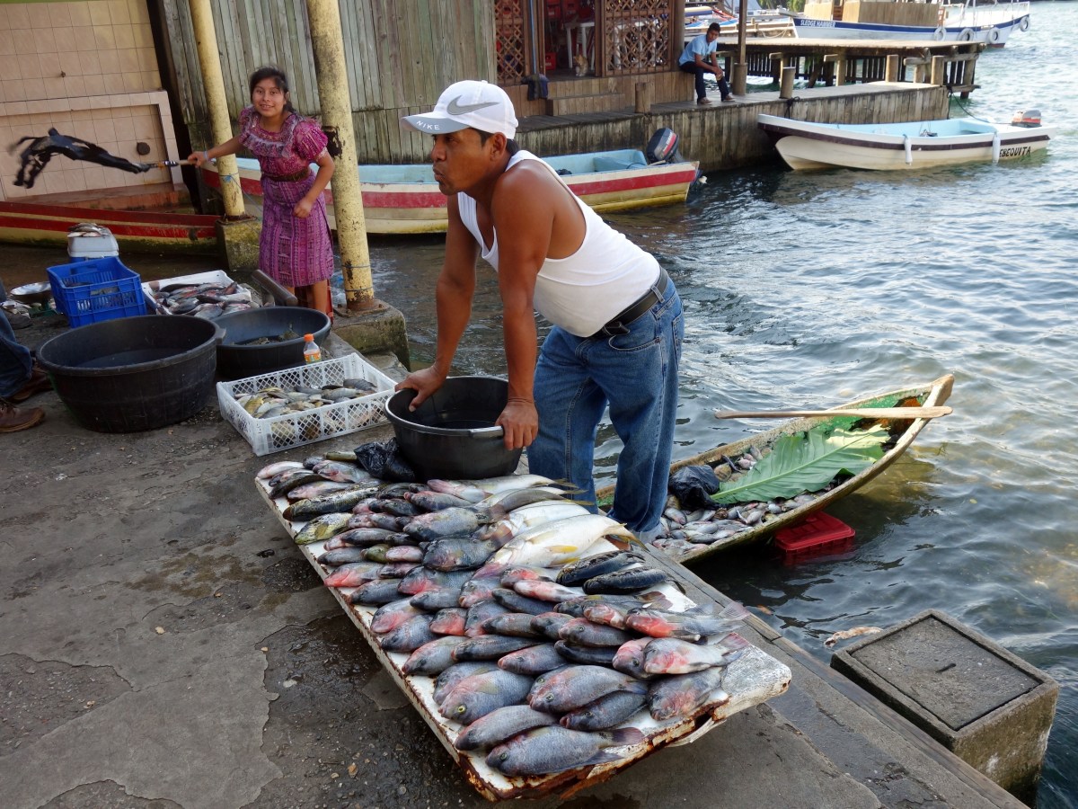 A man sells his mornings catch at the fish market in Fronteras, Rio Dulce, Guatemala -- Karina Noriega