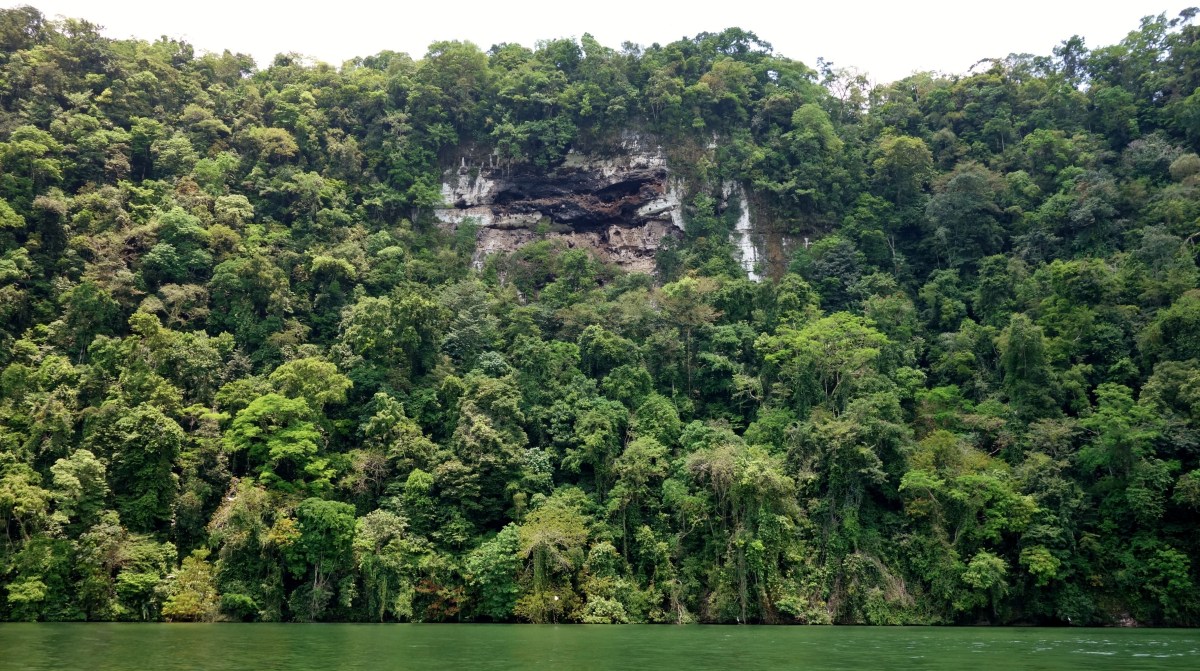 Locals all seem to agree that the image on the cliff rock is a cow. But my money is entirely of whale! Rio Dulce, Guatemala -- Karina Noriega