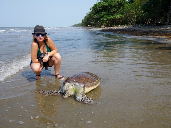 On our coastal stroll outside of ‪Livingston‬, Guatemala‬ we came upon a massive and beautiful ‪SeaTurtle‬ only to discover that someone, or something had completely severed it's head right off. Even though it's likely it was not a human, it's still completely heartbreaking frown emoticon I was told by a ‪Garifuna‬ man that people here still eat them as well as putting great value on the shells for instruments and decorations. April posed with the turtle just for the purpose of gaining scale. The turtle was gone on our return trip through. -- Karina Noriega
